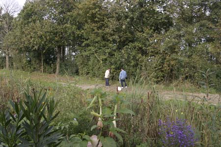 IMG_2040_1