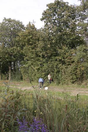 IMG_2045_1