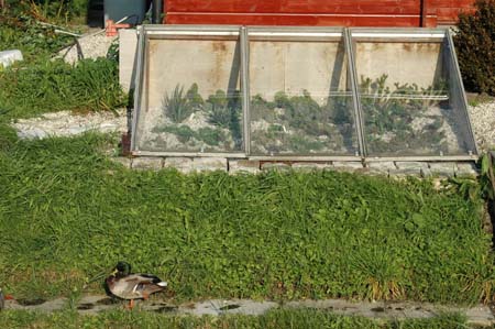 DSC_1051